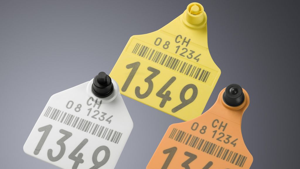 Fiber Laser Cutting Advantages: Boost Efficiency and Precision in Manufacturing - laser marking